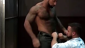 Ragingstallion hairy frowning investigators sucking some dig up