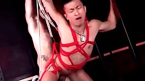 Peterfever duteous zed sheng barebacked apart from ty roderick