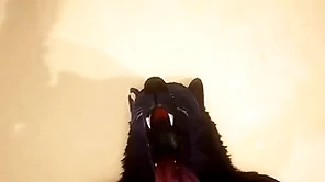 Pov team a few blithe wolves screwing - wildlife