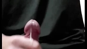 Taiwan urchin cum