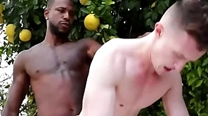 Grown bbc penetrates gay asshole - sit on the throne , grant ducati